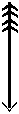 �ipka